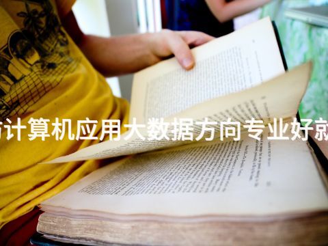 潍坊计算机应用大数据方向专业好就业吗