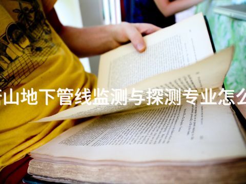 唐山地下管线监测与探测专业怎么样