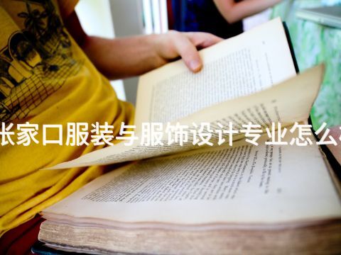 张家口服装与服饰设计专业怎么样