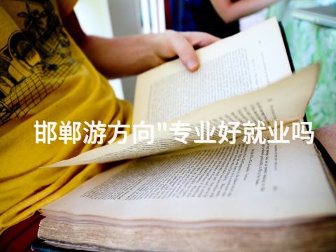 邯郸游方向"专业好就业吗