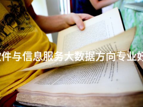 泰安软件与信息服务大数据方向专业好就业吗(图1)