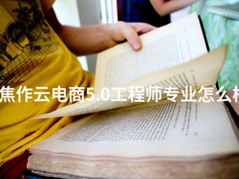 焦作云电商5.0工程师专业怎么样