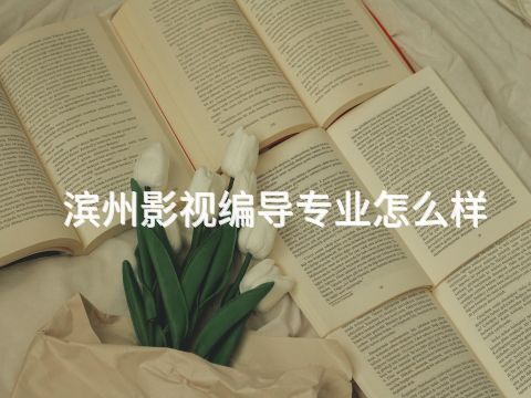 滨州影视编导专业怎么样
