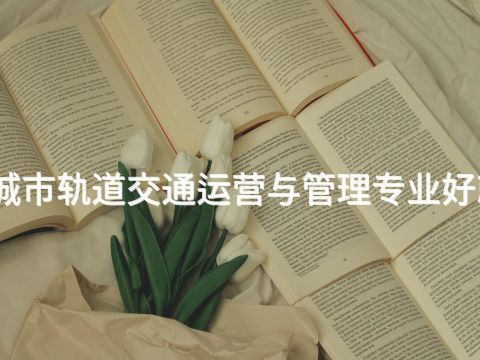 承德城市軌道交通運營與管理專業好就業嗎(圖1) 承德城市軌道交通運營與管理專業好就業嗎(圖1)