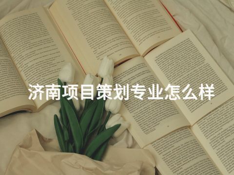 济南项目策划专业怎么样