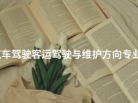 廊坊汽車駕駛客運駕駛與維護方向專業怎么樣