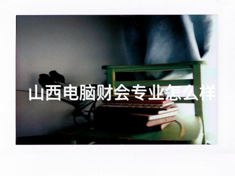 山西电脑财会专业怎么样(图1) 山西电脑财会专业怎么样(图1)