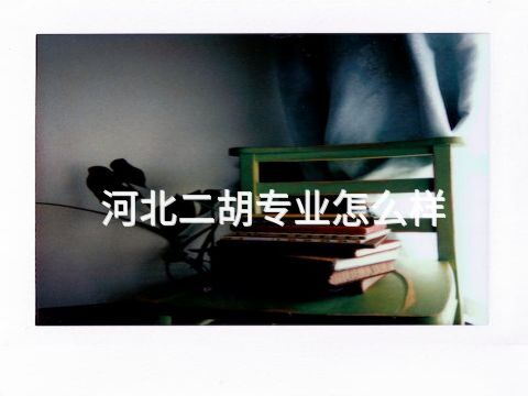 河北二胡专业怎么样(图1)