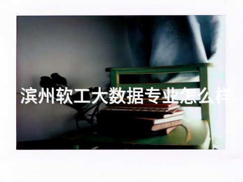 滨州软工大数据专业怎么样