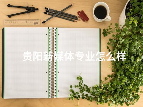 贵阳新媒体专业怎么样