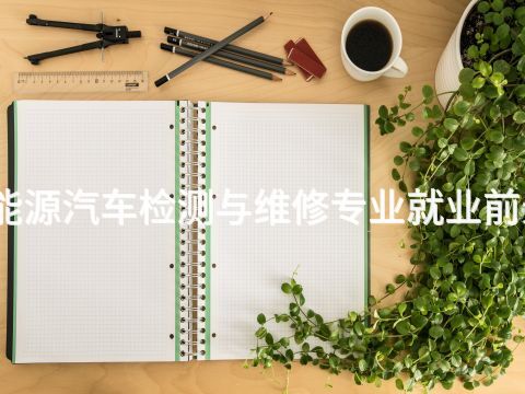 菏澤新能源汽車檢測與維修專業(yè)就業(yè)前景怎么樣