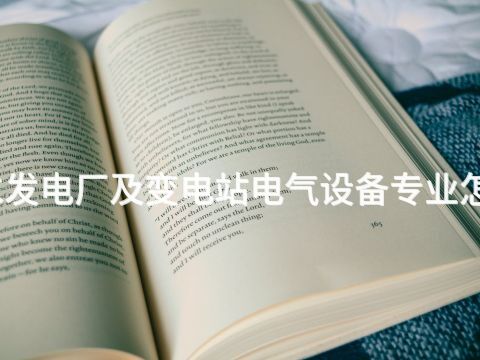 衡水发电厂及变电站电气设备专业怎么样