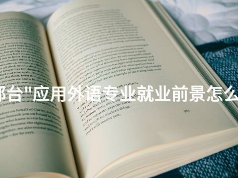 邢台"应用外语专业就业前景怎么样
