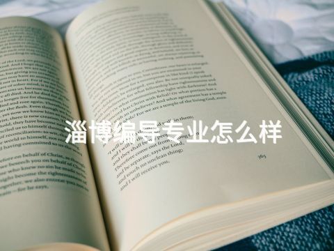淄博编导专业怎么样