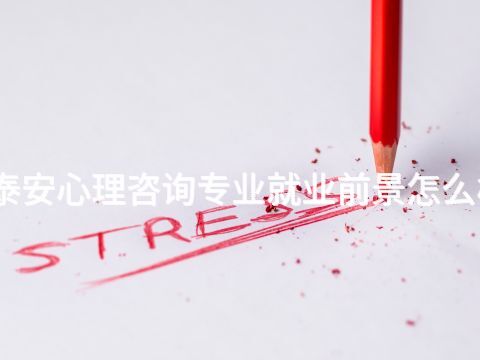 泰安心理咨询专业就业前景怎么样