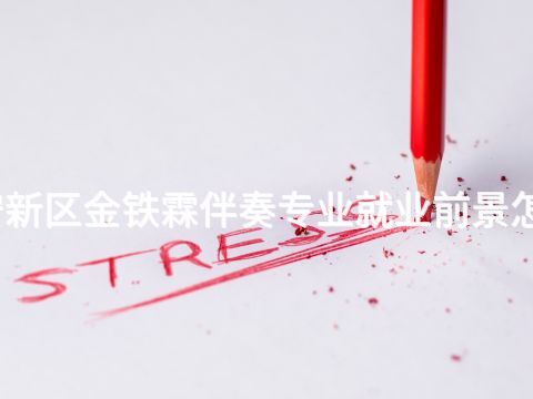 雄安新区金铁霖伴奏专业就业前景怎么样