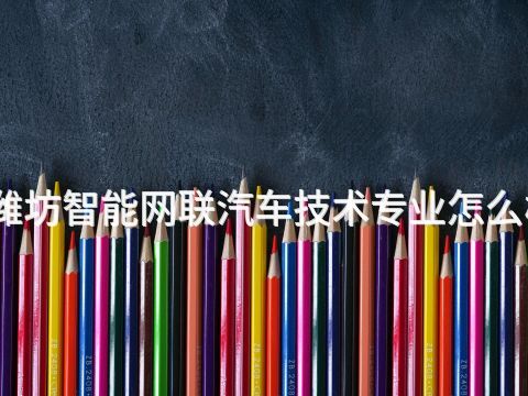 潍坊智能网联汽车技术专业怎么样(图1)