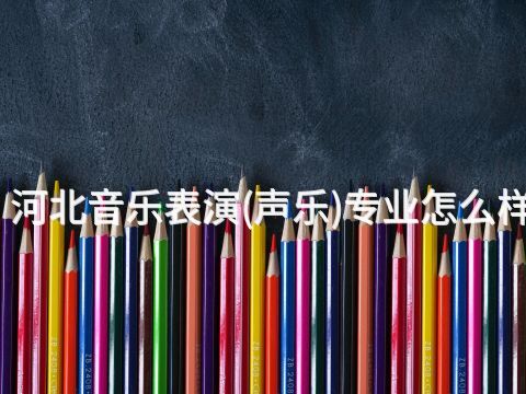 河北音乐表演(声乐)专业怎么样