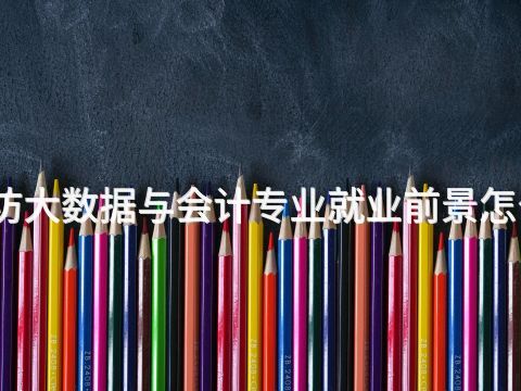 潍坊大数据与会计专业就业前景怎么样