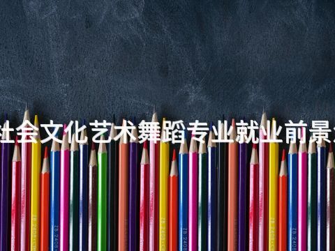 洛阳社会文化艺术舞蹈专业就业前景怎么样