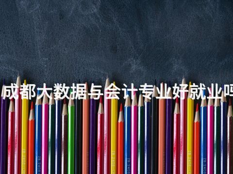成都大数据与会计专业好就业吗