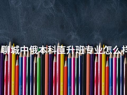 聊城中俄本科直升班专业怎么样