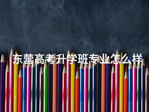 东营高考升学班专业怎么样