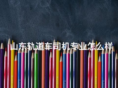 山东轨道车司机专业怎么样(图1) 山东轨道车司机专业怎么样(图1)