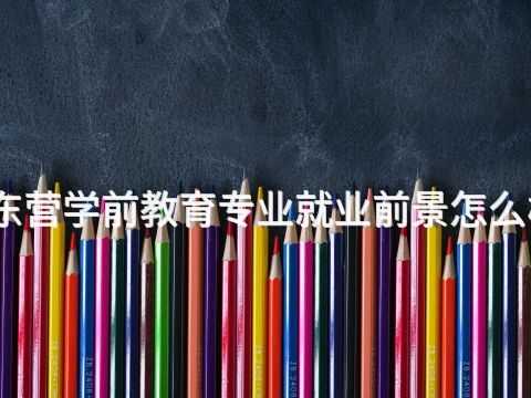 东营学前教育专业就业前景怎么样(图1) 东营学前教育专业就业前景怎么样(图1)