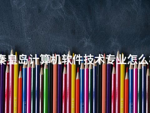 秦皇岛计算机软件技术专业怎么样(图1) 秦皇岛计算机软件技术专业怎么样(图1)