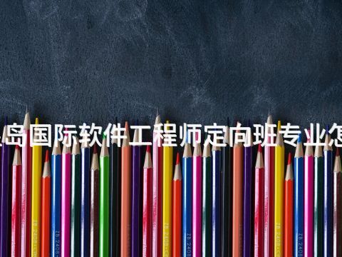秦皇岛国际软件工程师定向班专业怎么样