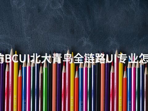 潍坊BCUI北大青鸟全链路UI专业怎么样