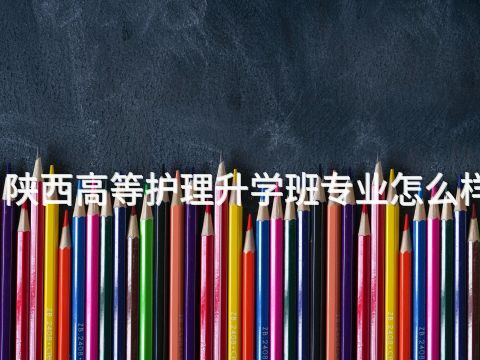 陕西高等护理升学班专业怎么样