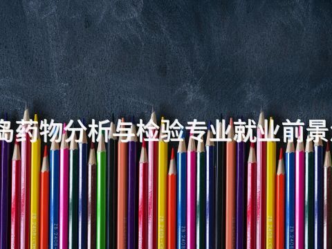 秦皇岛药物分析与检验专业就业前景怎么样(图1) 秦皇岛药物分析与检验专业就业前景怎么样(图1)
