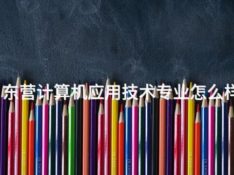东营计算机应用技术专业怎么样