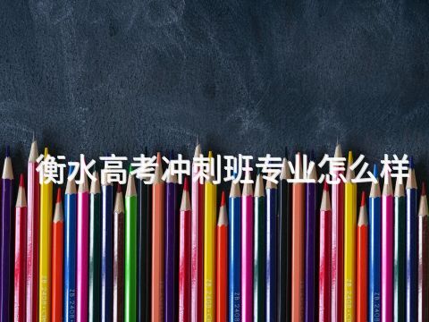 衡水高考冲刺班专业怎么样