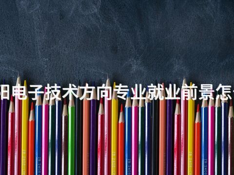 绵阳电子技术方向专业就业前景怎么样