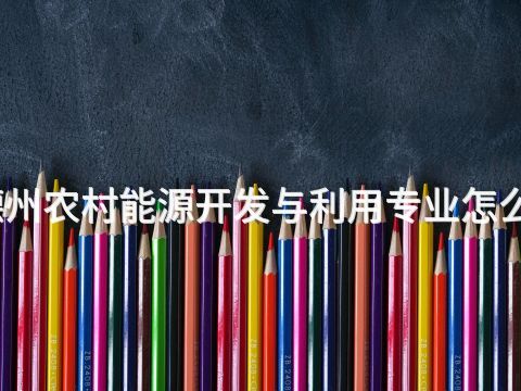 德州农村能源开发与利用专业怎么样(图1) 德州农村能源开发与利用专业怎么样(图1)