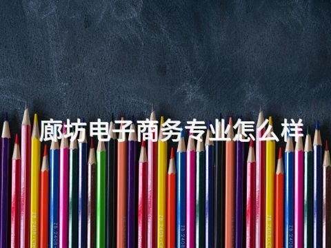 廊坊電子商務專業怎么樣