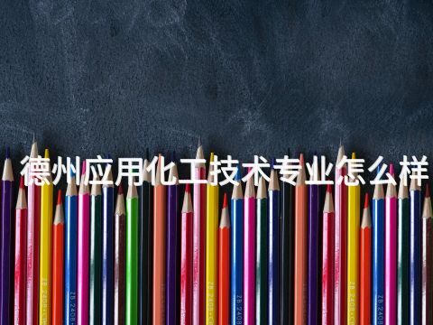 德州应用化工技术专业怎么样