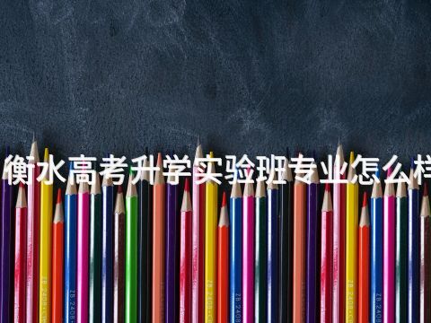 衡水高考升学实验班专业怎么样