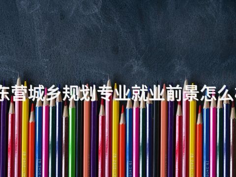 东营城乡规划专业就业前景怎么样