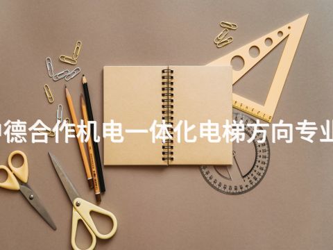 济南中德合作机电一体化电梯方向专业怎么样
