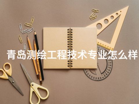 青島測(cè)繪工程技術(shù)專(zhuān)業(yè)怎么樣