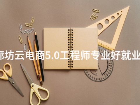 廊坊云电商5.0工程师专业好就业吗