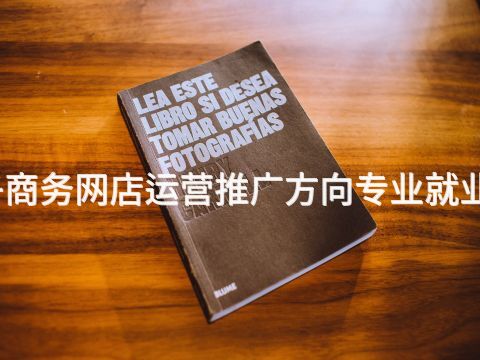 秦皇岛电子商务网店运营推广方向专业就业前景怎么样