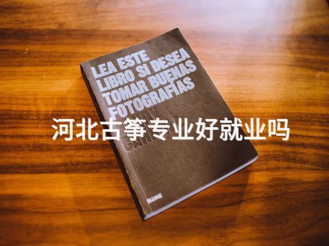 河北古筝专业好就业吗(图1) 河北古筝专业好就业吗(图1)