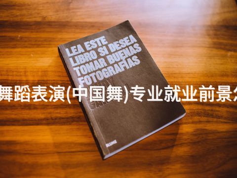 济宁舞蹈表演(中国舞)专业就业前景怎么样