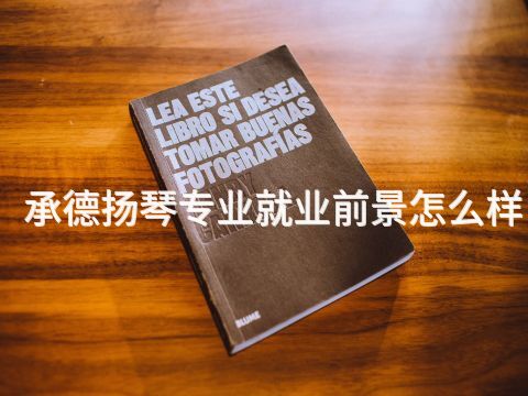 承德扬琴专业就业前景怎么样(图1) 承德扬琴专业就业前景怎么样(图1)