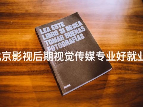 北京影视后期视觉传媒专业好就业吗(图1) 北京影视后期视觉传媒专业好就业吗(图1)